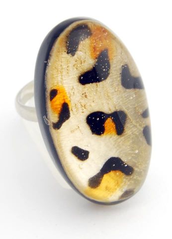 ANILLO OVAL TIGRE