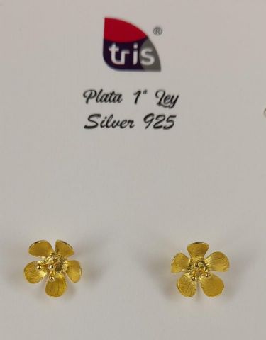 PENDIENTES AG  CHAPADO FLORPOS 5P